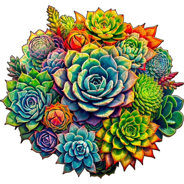 Succulent Plants-3 Wooden Jigsaw Puzzle - Woodbests