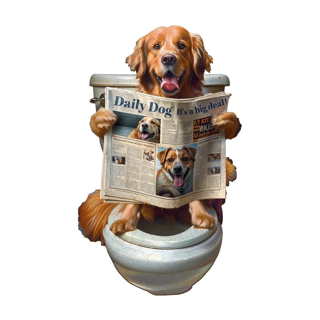 Golden retriever dog reading the Daily Dog newspaper while sitting on a toilet, humorous pet art.