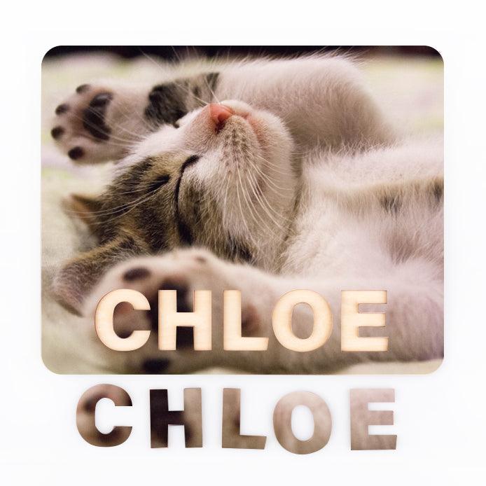 Personalized Family Photo & Name Jigsaw Puzzle