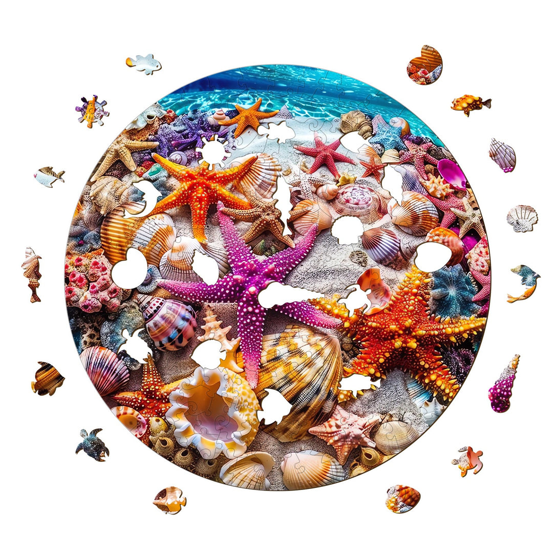Colorful starfish and seashells in a jigsaw puzzle design, emphasizing focus and cognitive skills in puzzle solving.